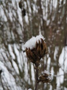 Snowden dieci anni dopo: cosa è cambiato nella cybersicurezza