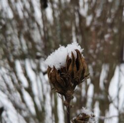 Snowden dieci anni dopo: cosa è cambiato nella cybersicurezza