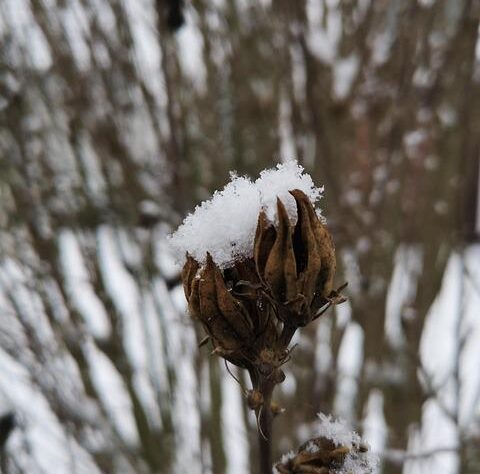 Snowden dieci anni dopo: cosa è cambiato nella cybersicurezza