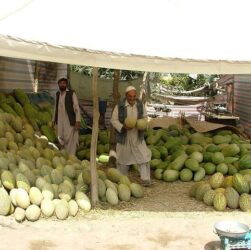 La caduta di Kabul: vent’anni di guerra e un ritorno al passato