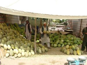 La caduta di Kabul: vent’anni di guerra e un ritorno al passato
