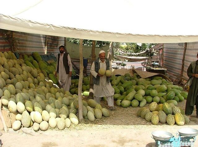 La caduta di Kabul: vent’anni di guerra e un ritorno al passato